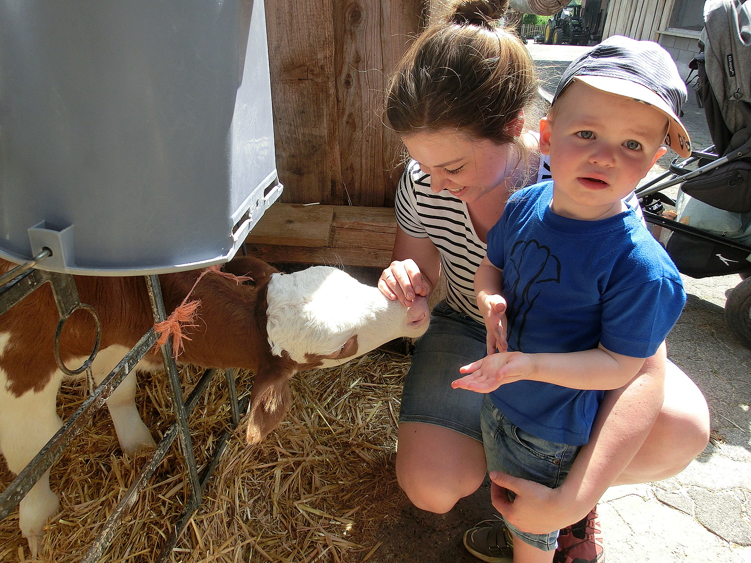 Besuch der U3 Kinder am Irlenhof